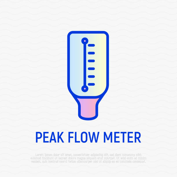 Peak flow meter